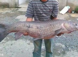 青鱼视频国产在线,国产在线影视盛宴，尽享视听盛宴