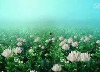 青青国产草视频,青涩情感演绎