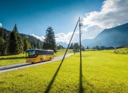 青青草国产线观,青青草的青春旋律与时代印记