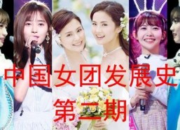 国产门事件,揭秘我国汽车行业质量危机与反思