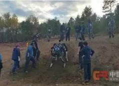 国产野外,国产野外探险之旅