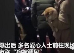 主人调教视频国产,从调教视频看国产崛起之路