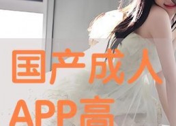 国产区成人,探索多元文化下的成人娱乐产业