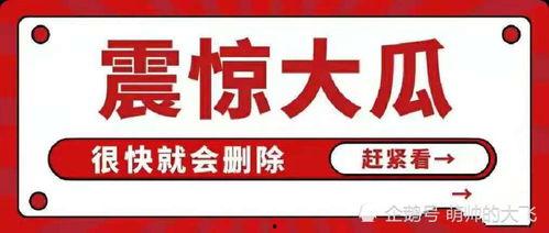 吃瓜娱乐八卦图
